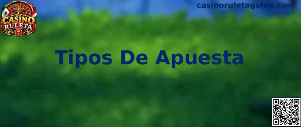 Guía visual de los tipos de apuesta en un tapete de Casino Ruleta