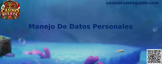 Guía de Casino Ruleta sobre Manejo De Datos Personales y protección de la privacidad